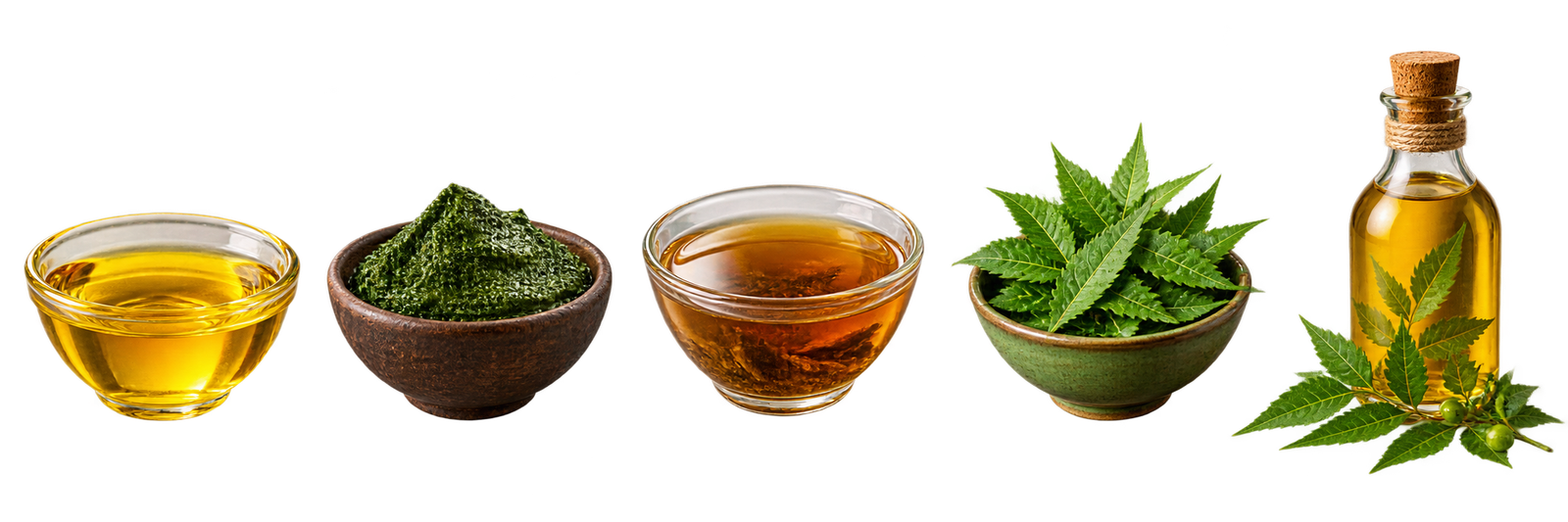 Ayurvedic botanicals used in the Taila Paka method